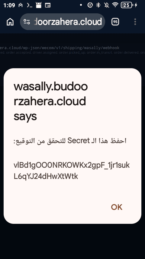 توم جير